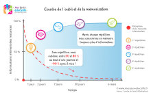 La courbe de l\'oubli montre que les répétitions espacées contribuent à la mémorisation durable