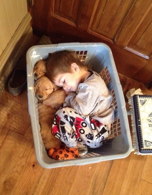 Un petit garçon dort avec un petit chiot dans une corbeille à linge.